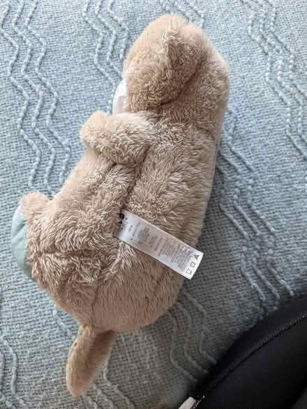Photo of free Fisherprice otter (W5) #2