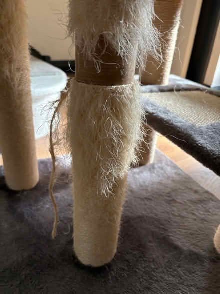 Photo of free Cat play tree (Morrell Avenue OX4) #2