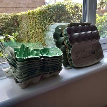 Photo of free Egg Boxes (St Nicholas SG1) #1