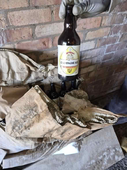Photo of free Empty beer bottles x 2 boxes (Reddish South) #1