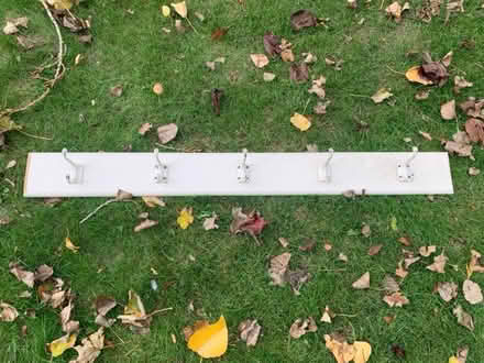 Photo of free 5 hooks on back board (Lansdown BA1) #1