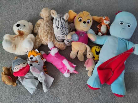 Photo of free Teddies (Hollingbury BN1) #1