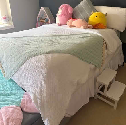 Photo of free 1 double bed frame (Eldridge North) #1
