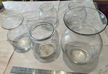 Photo of free Glass vases (Alameda) #1