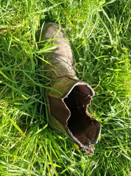 Photo of free Naughty fox/ badger/ cat haul (Bexhill TN39) #2