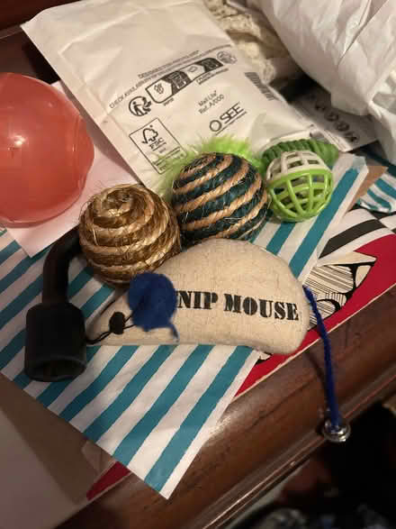 Photo of free Cat toys (Monks Hill CR2) #1