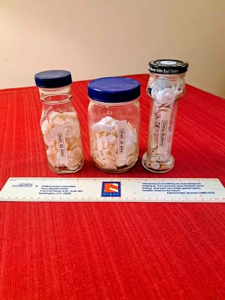Photo of free Shell and china buttons (69th Street, Upper Darby) #1
