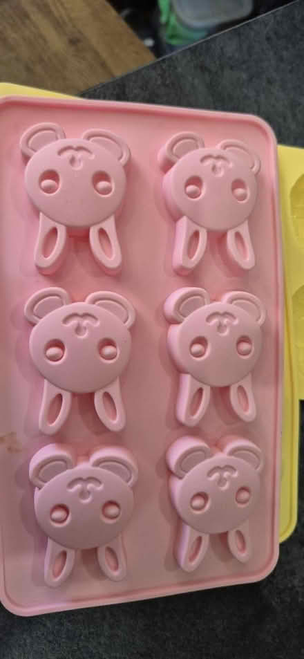 Photo of free Silicone chocolate moulds (ME15 Westmorland Road) #4