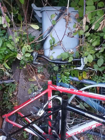 Photo of free 3 x bike frames and parts (Bedmond WD5) #3