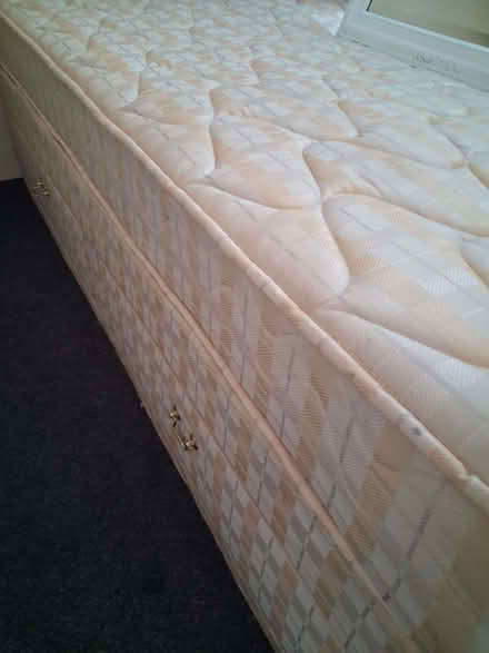 Photo of free Divan single bed with storage (Flintshire SY13) #1