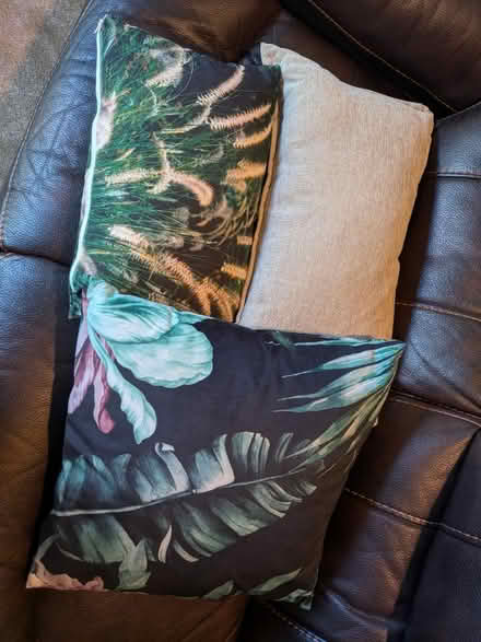 Photo of free 3 decorative cushions (Maidstone ME15) #1