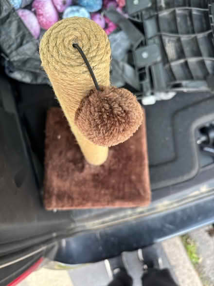 Photo of free Cat scratching post (Sunnyhill DE23) #2