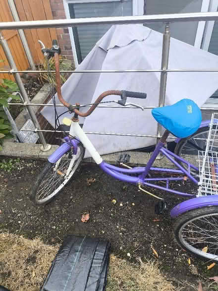 Photo of free Adult trike (Twerton BA2) #2