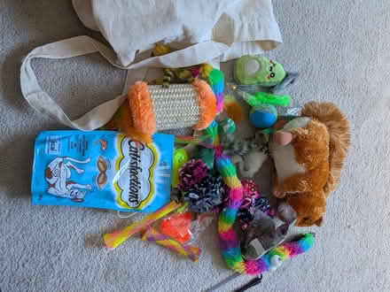 Photo of free Selection of cat toys (W5) #1