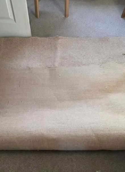 Photo of free carpet offcut (Bowerham LA1) #2
