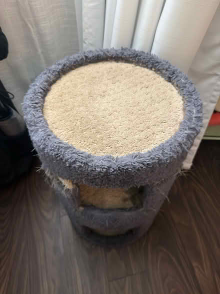 Photo of free Well-loved Cat Scratching Tower (Silver Spring Metro Station) #2