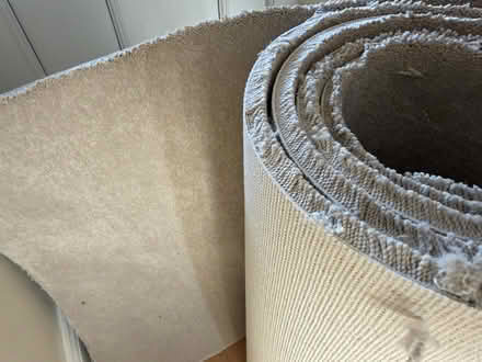 Photo of free Cream Carpet 31.5inchesx10ft (Bosham) #1