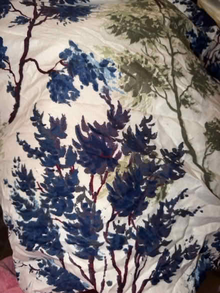 Photo of free 3 sets of full size sheets (Boxborough) #3