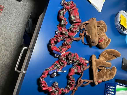 Photo of free holiday headband and collar for dog (Derwood, MD) #1