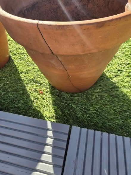 Photo of free Plant pots (Portchester PO16) #4