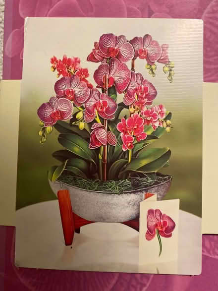 Photo of free Paper Orchid Bouquet (Richmond) #1