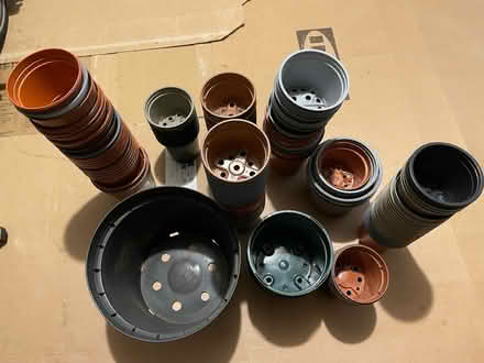 Photo of free Plant pots (Newton Aycliffe DL5) #1