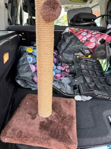 Photo of free Cat scratching post (Sunnyhill DE23) #1