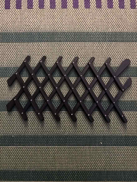 Photo of free Pet car window grate (x2) (Clerkenwell EC1R) #1