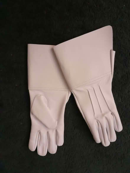Photo of free Fancy Dress Gloves (Purley CR8) #1