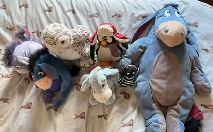 Photo of free Cuddly toys (Church Langley CM17) #1