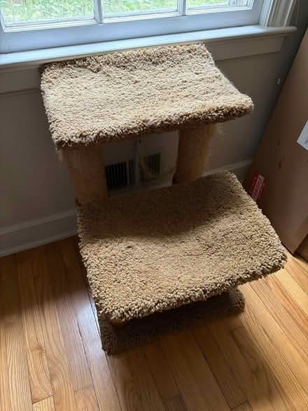 Photo of free Cat perch (Metuchen NJ) #1