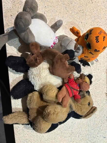 Photo of free TY beanie boos / cuddly toys (Dorney Reach SL6) #2