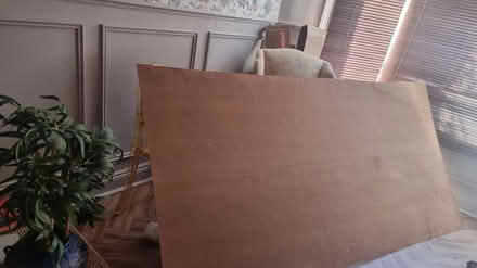 Photo of free Unused plywood (stroud green N4) #1