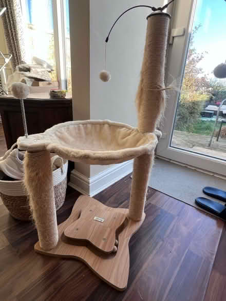 Photo of free Cat scratcher (Hawley) #3