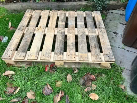 Photo of free Pallet (Newfield Green S14) #1