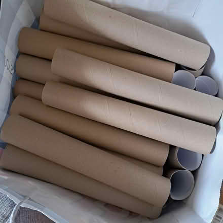 Photo of free Paper towel cores - Succasunna (Succasunna) #1