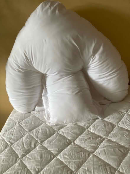Photo of free Back pillow (Bearton SG5) #1