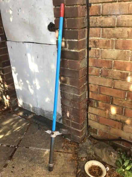 Photo of free Pogo stick (Shoreham-by-Sea BN43) #1