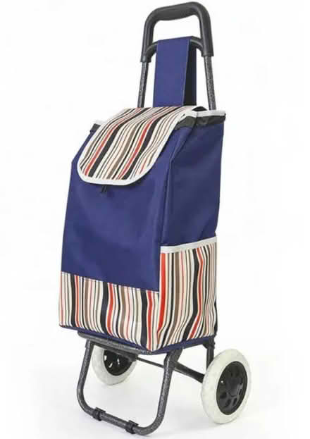 Photo of Shopping Trolley (Burley LS6) #1