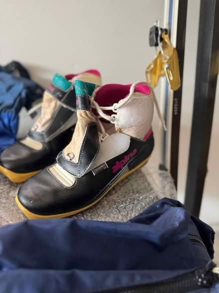 Photo of free cross-Country Ski equipment (McCollum Park area) #3