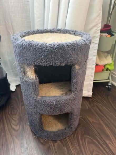 Photo of free Well-loved Cat Scratching Tower (Silver Spring Metro Station) #1