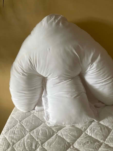 Photo of free Back pillow (Bearton SG5) #2