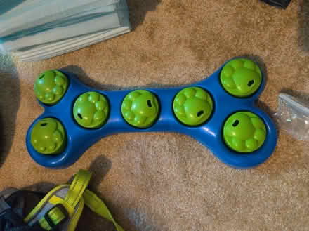 Photo of free Huge set of dog stuff... See dets (Maidstone ME15) #4