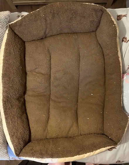 Photo of free Large/XL dog bed (Church Langley CM17) #2