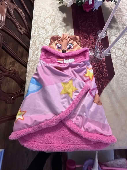 Photo of free paw patrol bath wrap (Near Albion & Walkley.) #1
