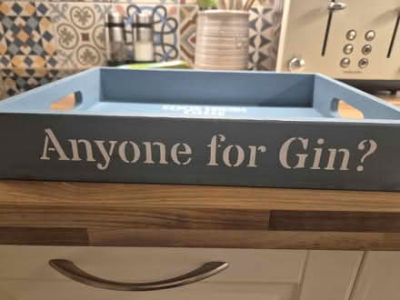 Photo of free Gin Tray (Woking GU21) #2