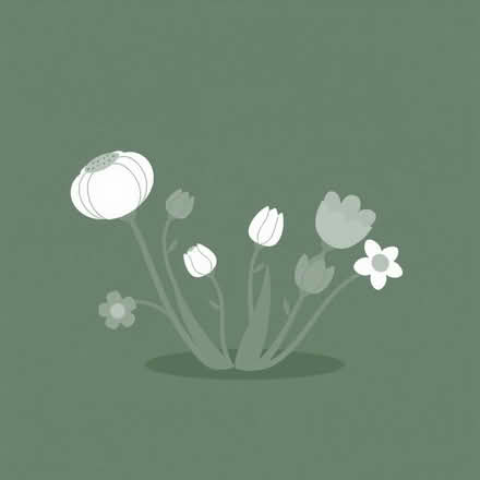 Photo of Any left over spring/summer flowering bulbs (Entwistle BL7) #1