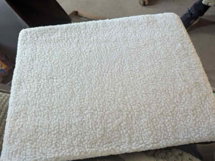 Photo of free Sponge and gel cushion (Portchester PO16) #2