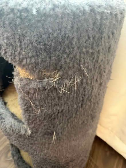 Photo of free Well-loved Cat Scratching Tower (Silver Spring Metro Station) #4