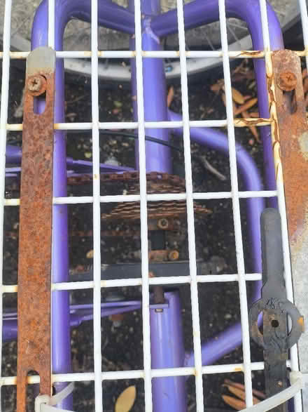 Photo of free Adult trike (Twerton BA2) #4